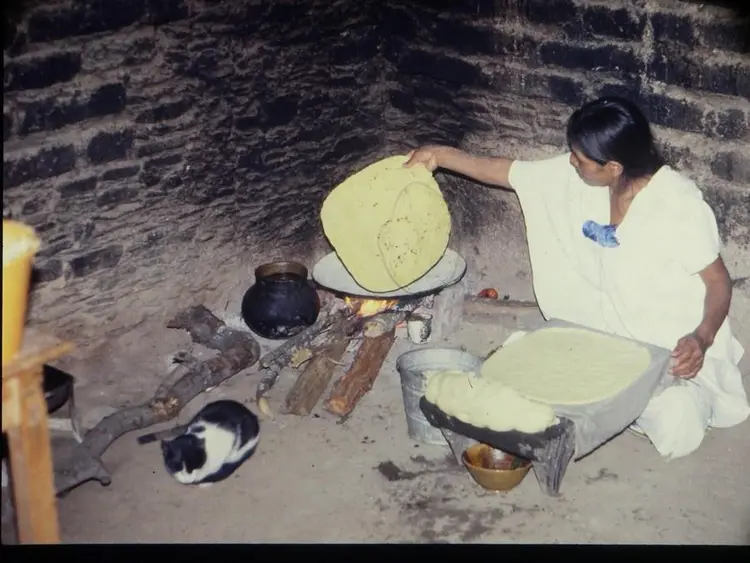 Magda torteando y un gatito.JPG